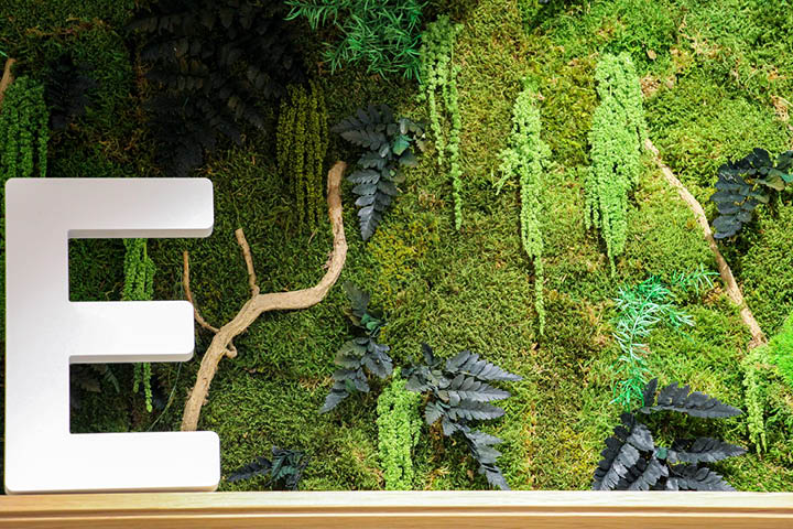 rewilding : l’art de végétaliser votre pharmacie