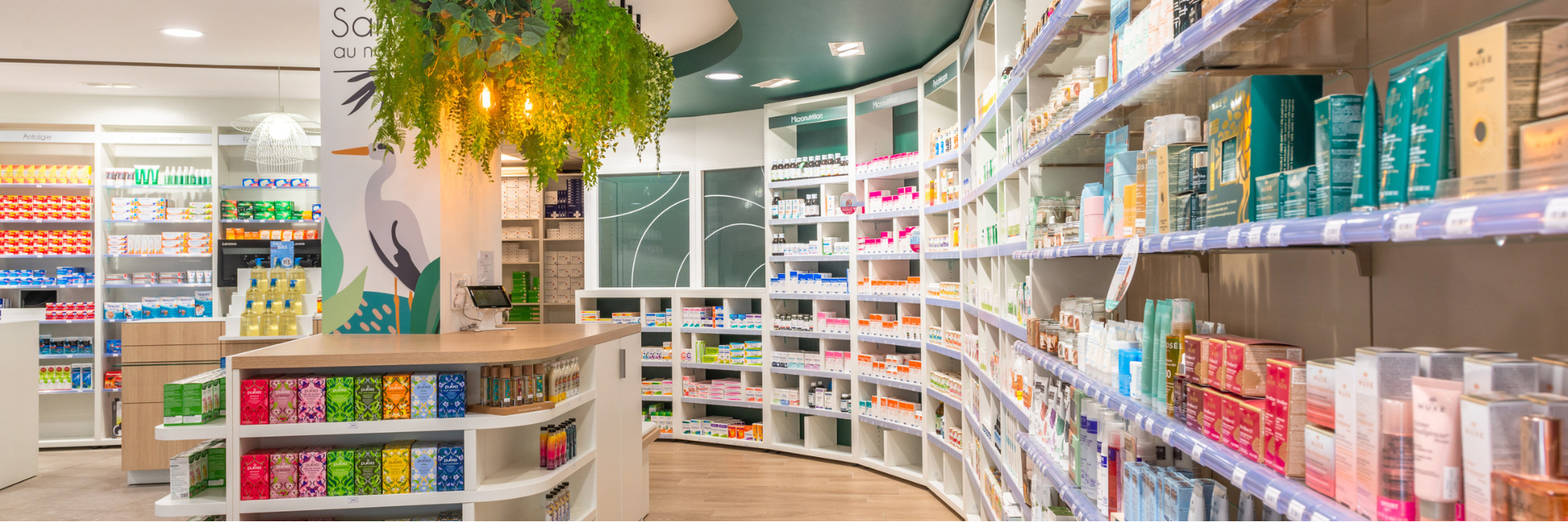 Bar conseil de l’espace Nature avec plafond végétalisé, mobilier sur-mesure et teintes vertes évoquant l’univers botanique et local.