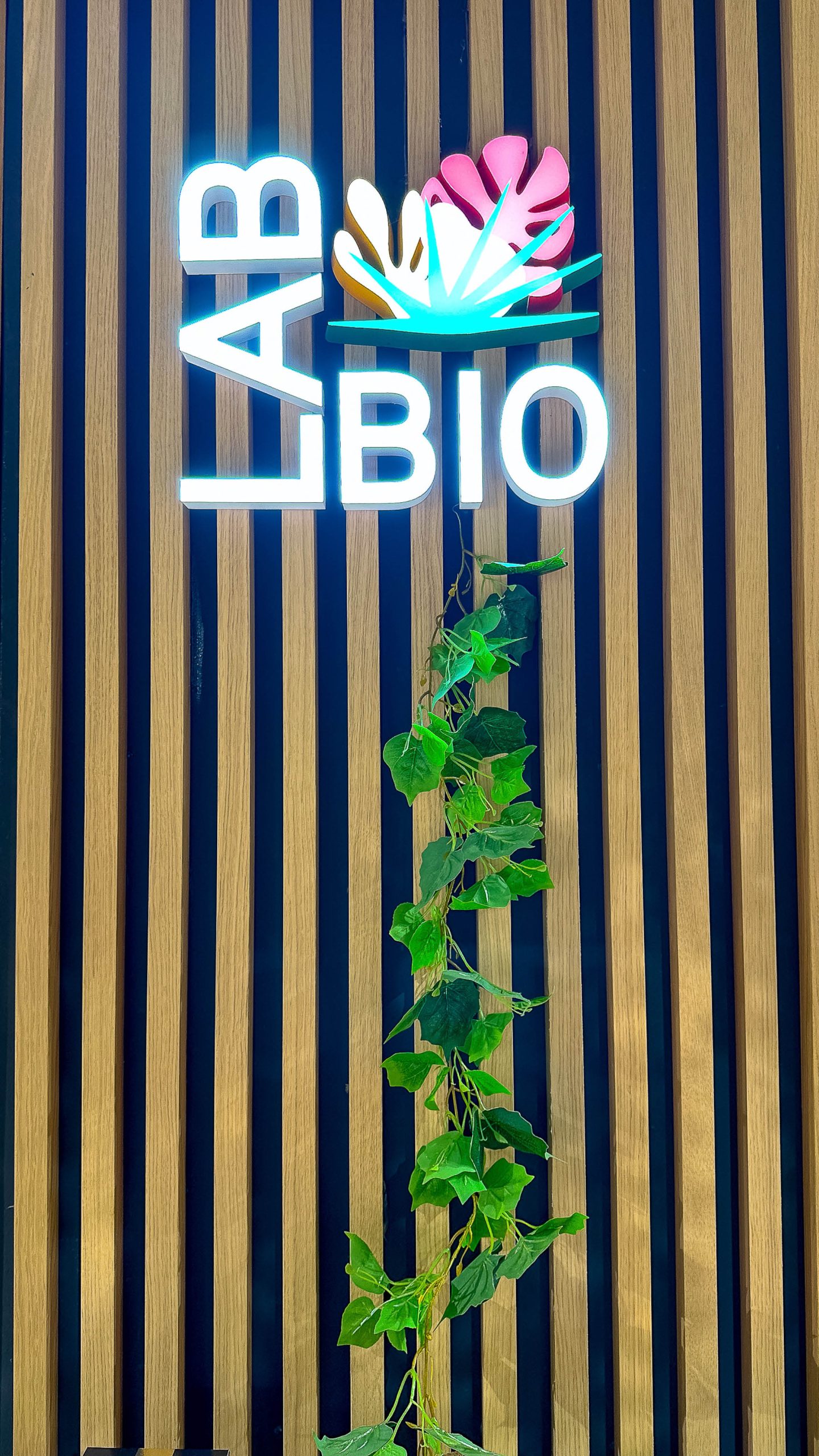 Signalétique claire guidant les clients à travers les différents univers de la pharmacie.