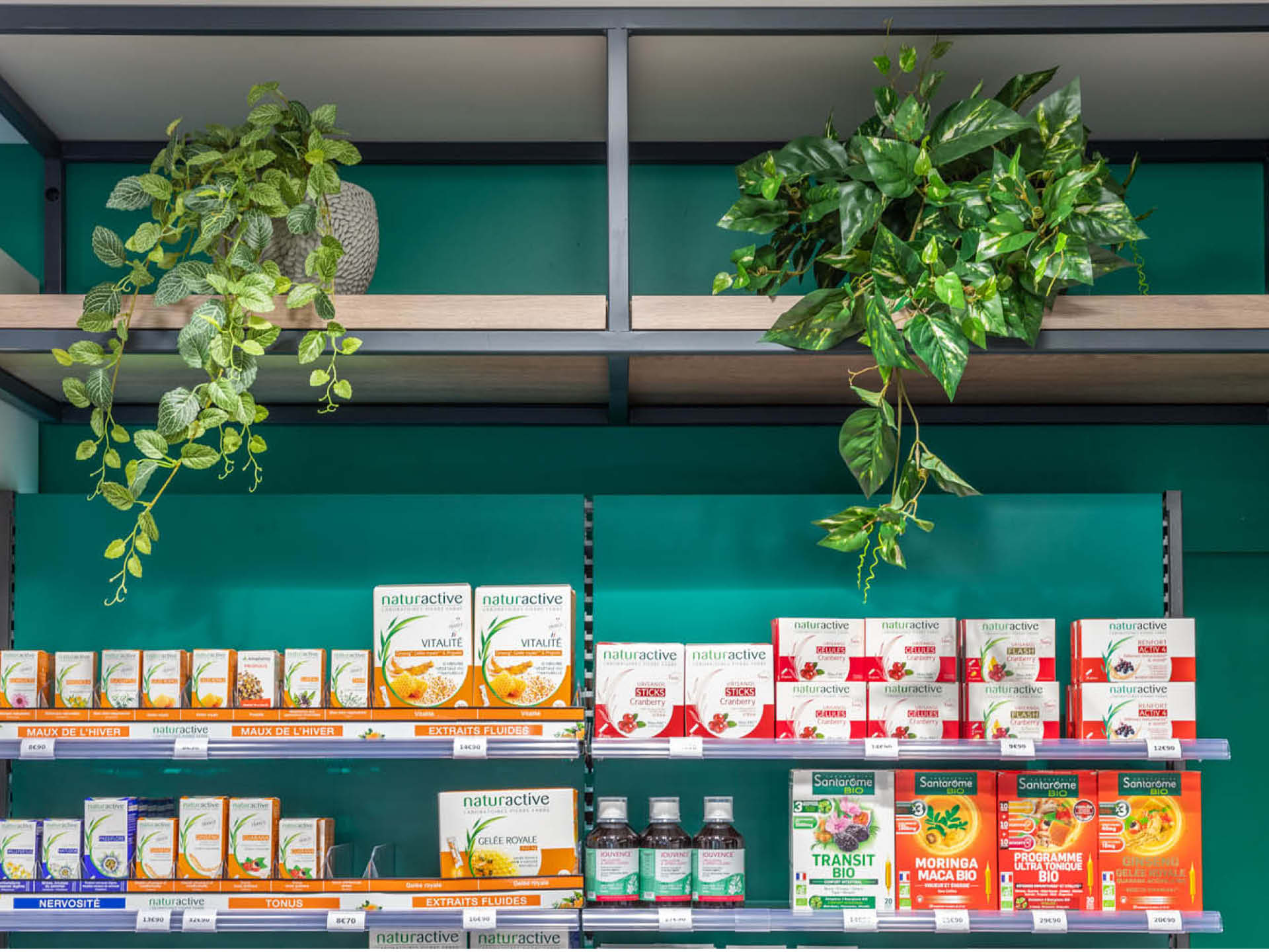 Détail d’éléments végétaux intégrés dans l’espace Nature et Beauté, apportant convivialité et ambiance apaisante pour la patientèle.