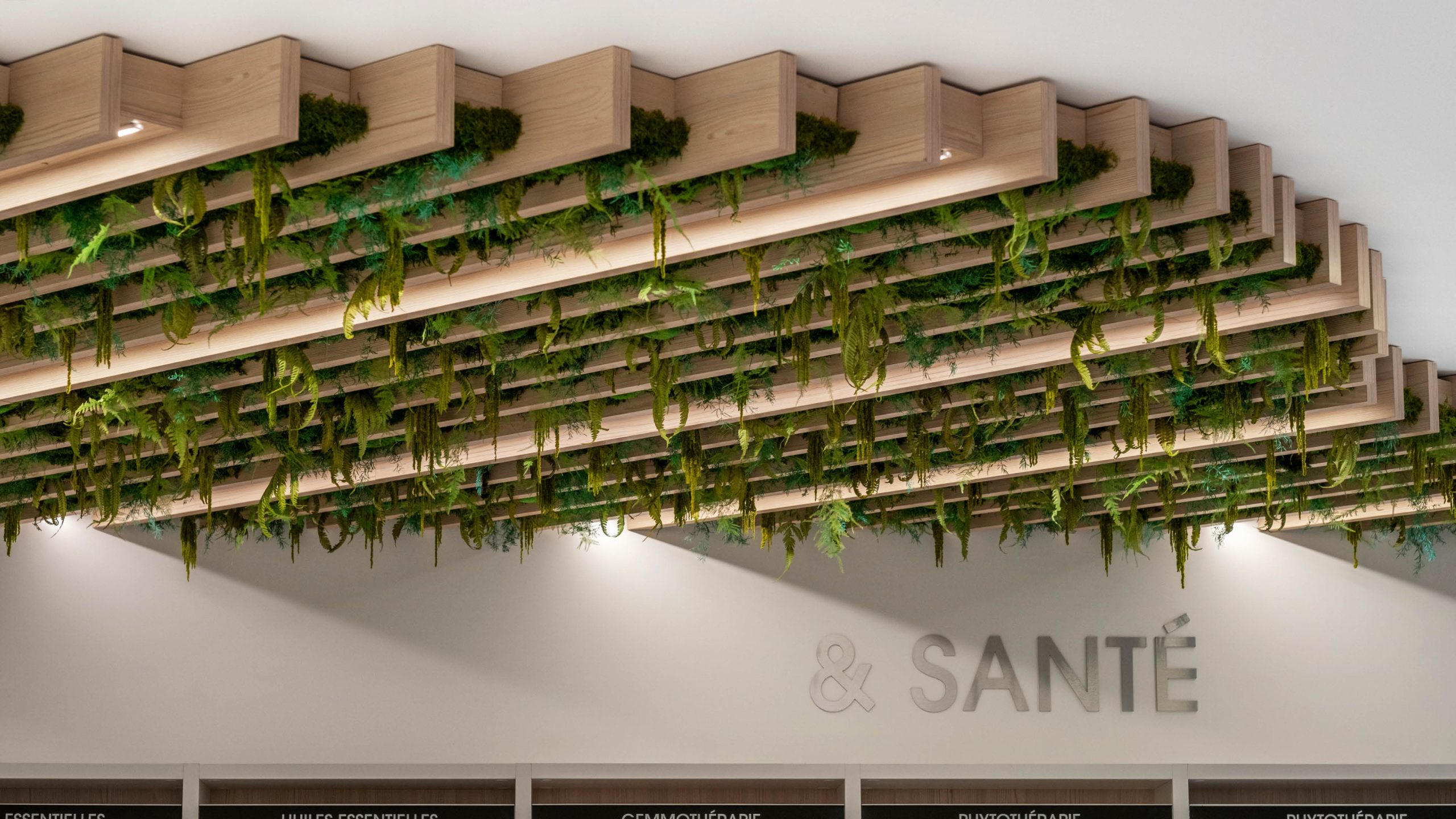 Plafond végétalisé renforçant l’ambiance naturelle et distinguant les zones de l’officine.