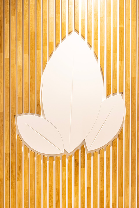 Détail graphique du logo et identité visuelle de la Pharmacie Populaire – Navigation à Genève.