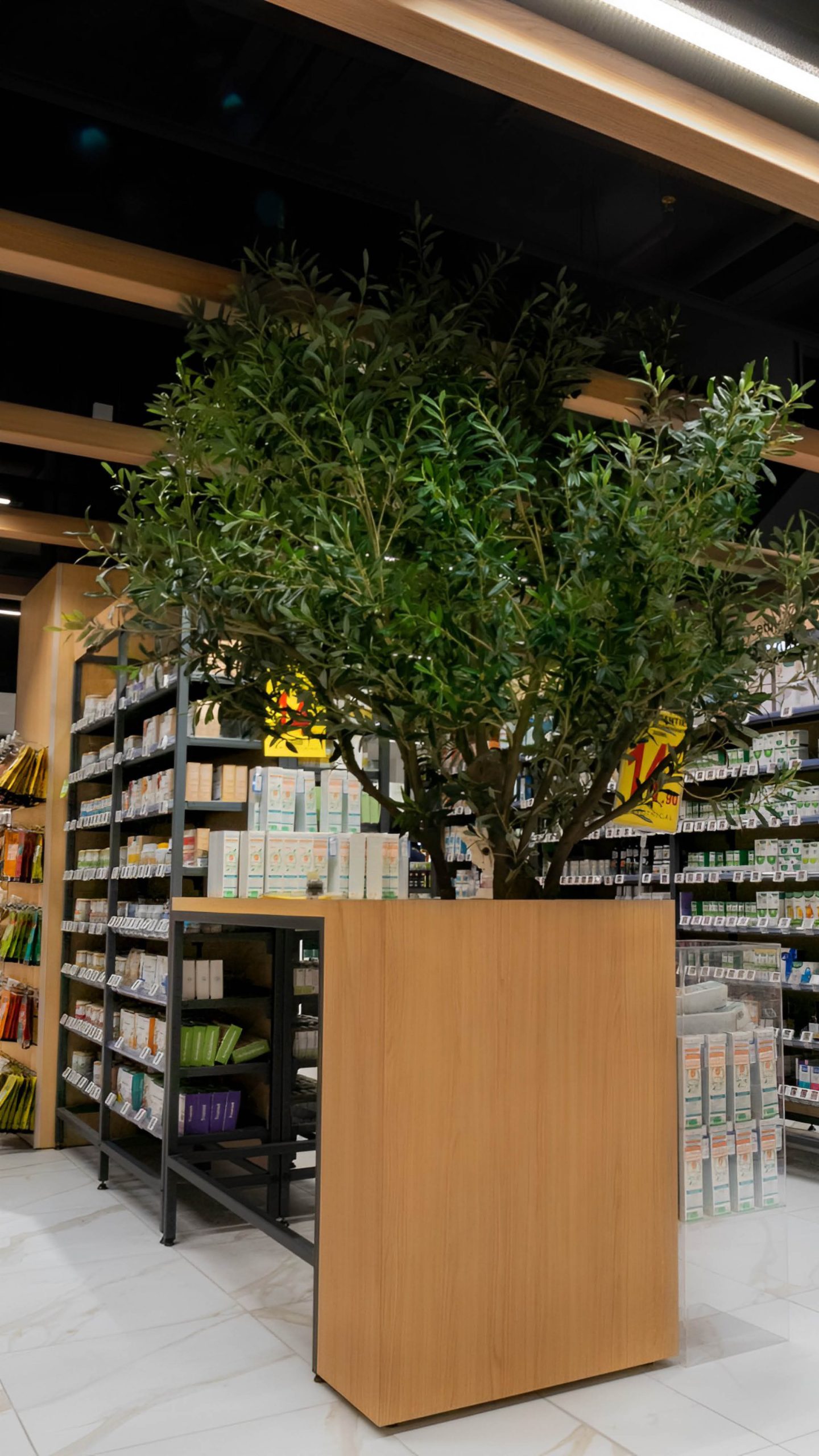 Pergola et arbre central créant un univers apaisant dans la zone nature de la pharmacie.
